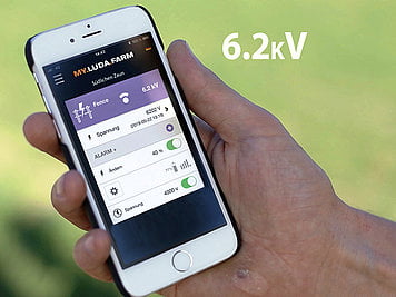 Handy in Hand mit Anzeige der App von FenceAlarm von Luda.Farm