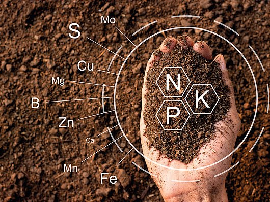 Hand in der sich Erde befindet und das Nährstoffmanagement erklärt.
