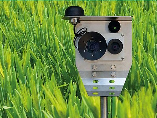 CropView von NEXT Farming steht im Weizenfeld.