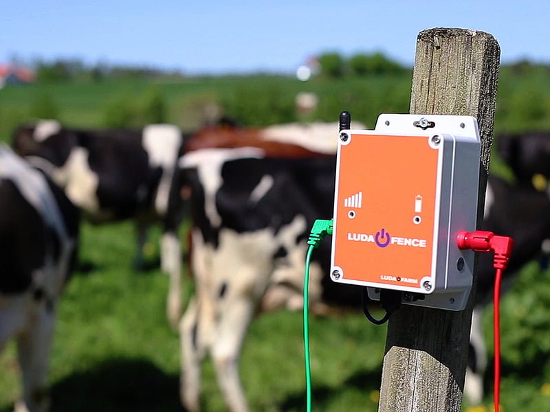 FenceAlarm von Luda.Fram in Weide am Masten montiert.