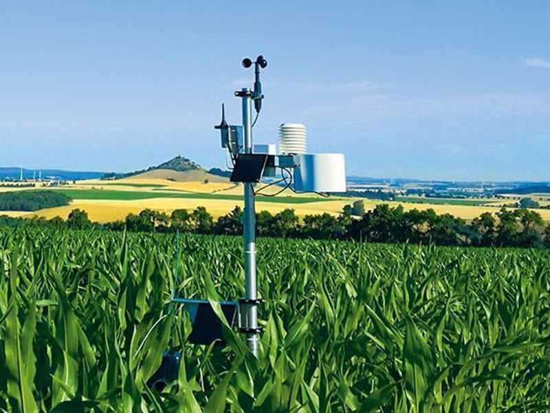 Die NEXT Wetterstation steht in einem Maisfeld