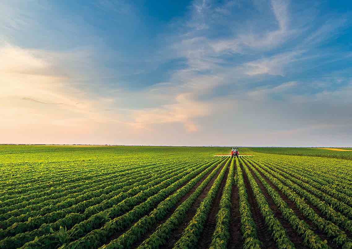 Ein Traktor mit Pflanzenschutzspritze fährt über das Feld