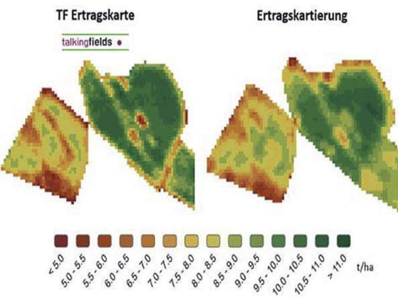 TalkingFlieds Ertragsprognose