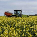 Repce fejtrágyázása